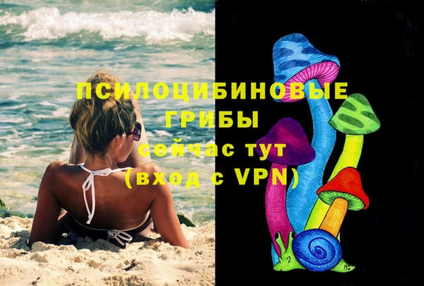 гашик Белоозёрский